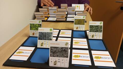 Qui-est-ce ? Lichens GO