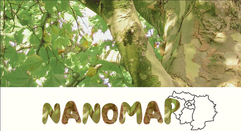 Nanomap