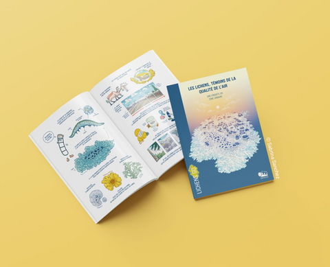 Bande dessinée Lichens GO