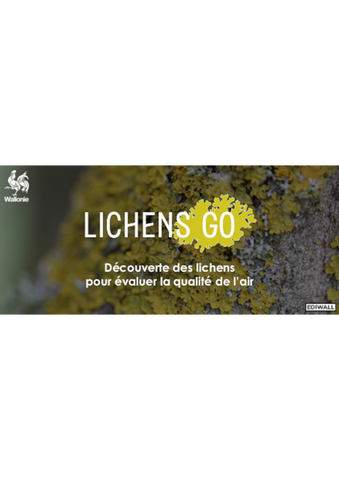 Eventail Lichens GO