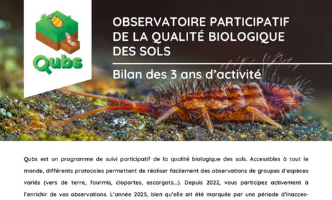 Bilan QUBS 2025