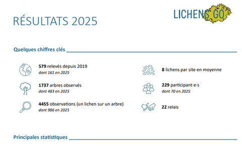 Bilan Lichens GO 2025